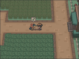 Dieser Screenshot zeigt, wie ein Tornupto dem Trainer als Partner-Pokémon in HeartGold und SoulSilver folgt.